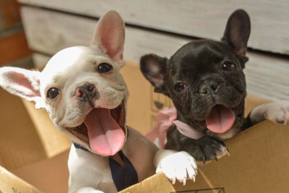 Fotos: Mario Valdés