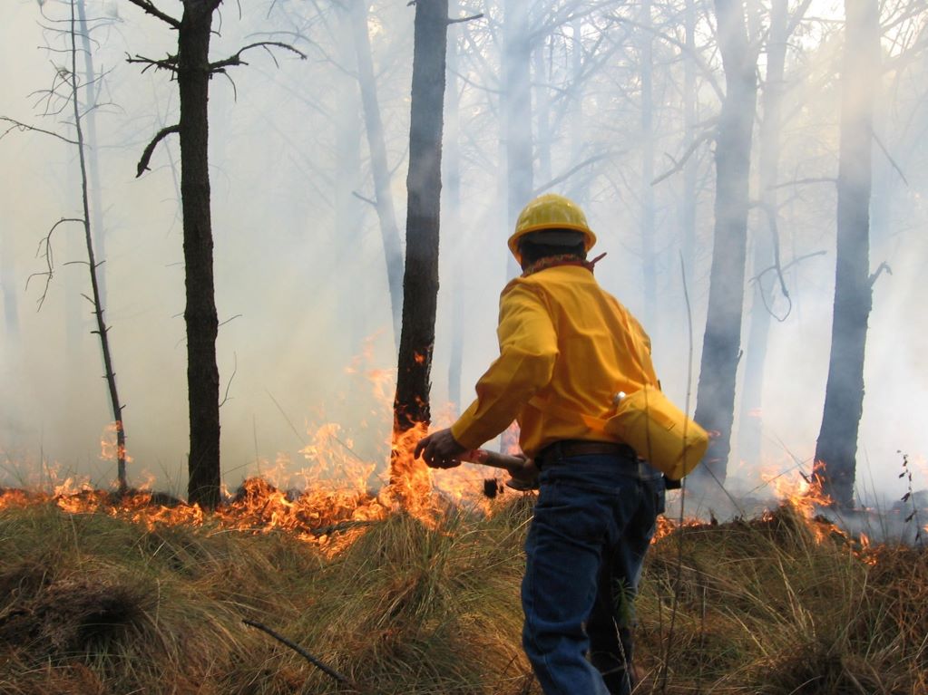 Incrementan 171% los incendios forestales en 2024
