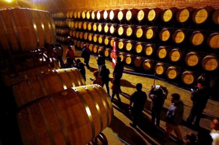 Ruta del vino. Tres viñedos en Querétaro que tienes que conocer