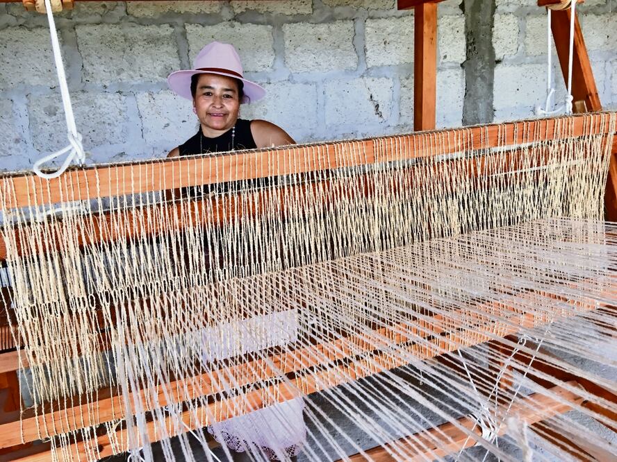 Se inspira en los colores de la naturaleza para crear