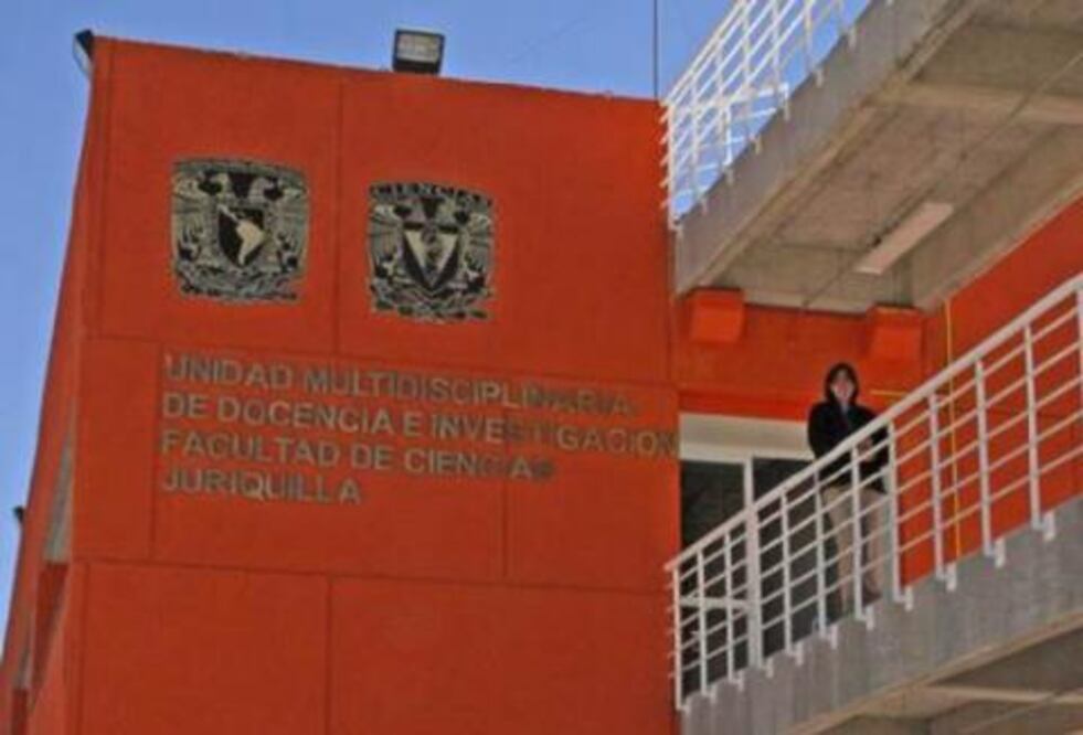  Muestra abordará el movimiento 