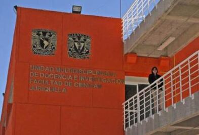 Muestra abordará el movimiento