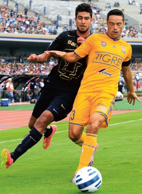 Amargan goya en Ciudad Universitaria