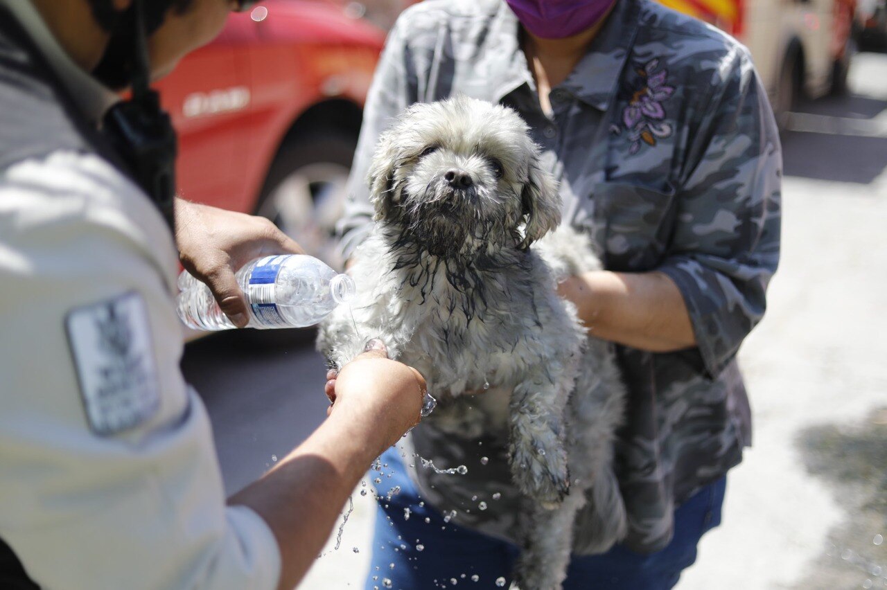 Fotos: Protección Civil