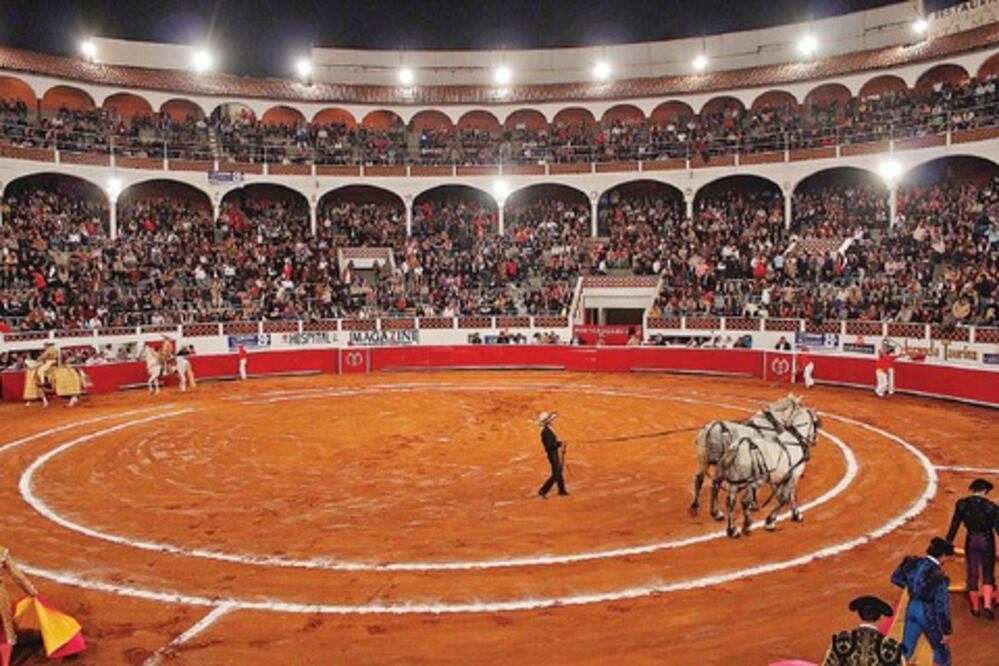Castigan a diputado por apoyar a toros