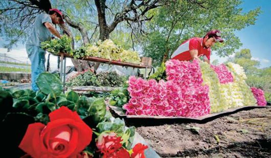 El Organal, tierra de rosas