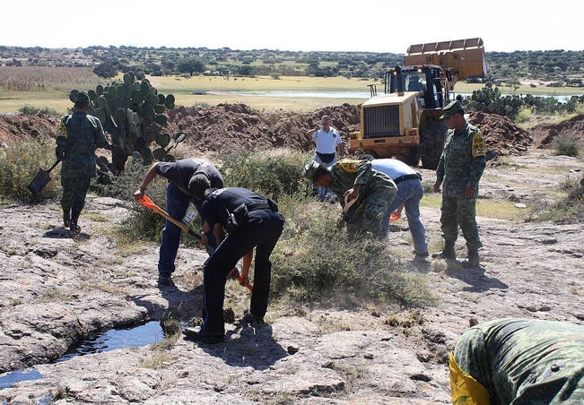 Detienen a 5 por portación de droga y “ordeña”
