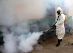Por la presencia de mosquitos, fumigarán este fin de semana El Parque Querétaro 2000