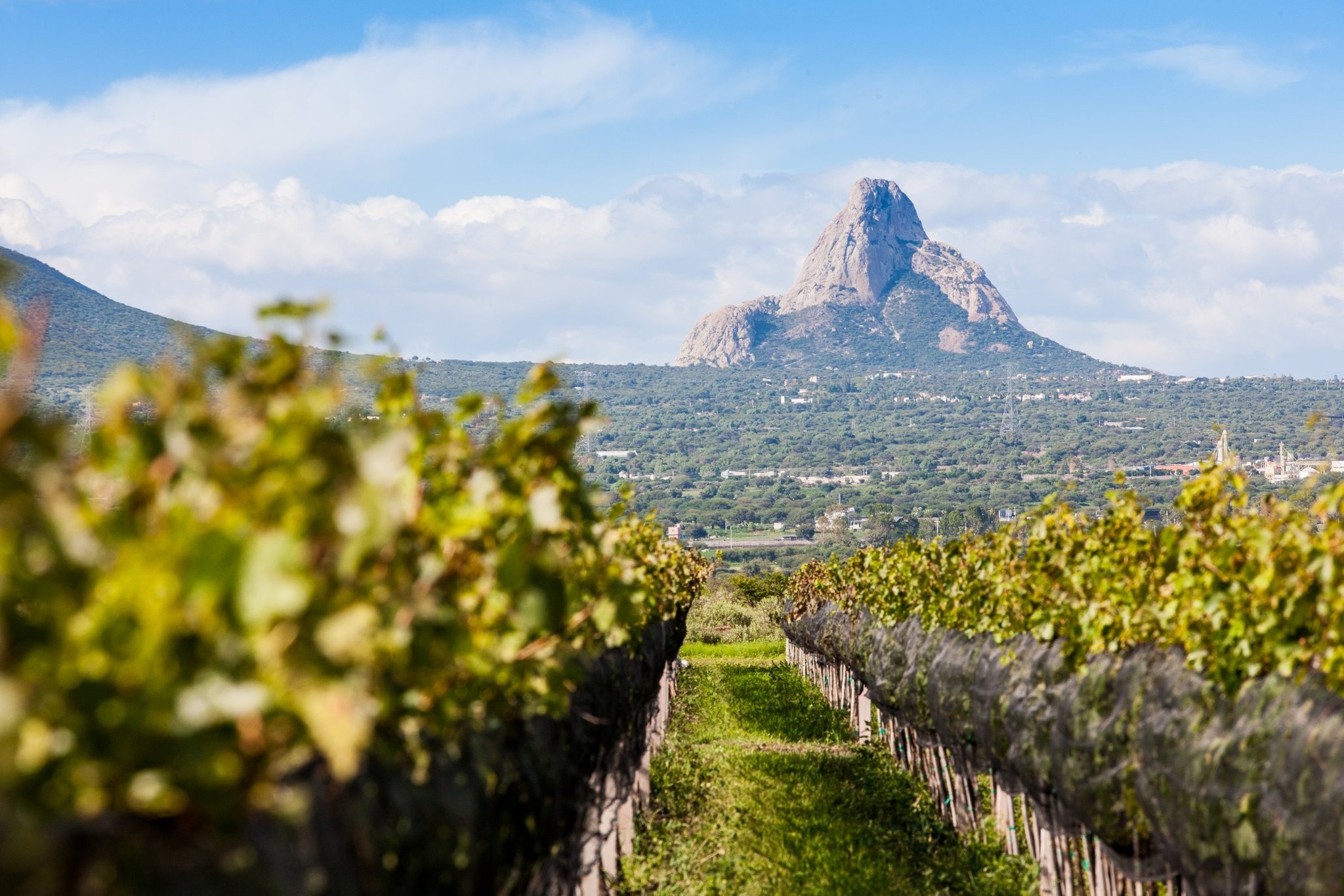 Foto: Facebook. Secretaría de Turismo del Estado de Querétaro