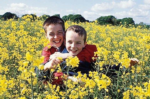 Filmes para niños, en el Rosalío Solano  