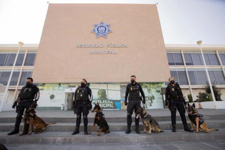 Erika y "Alex", un duo ocupado de la seguridad en Querétaro 