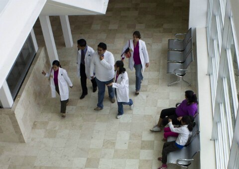 Abundan odontólogos y veterinarios "piratas"