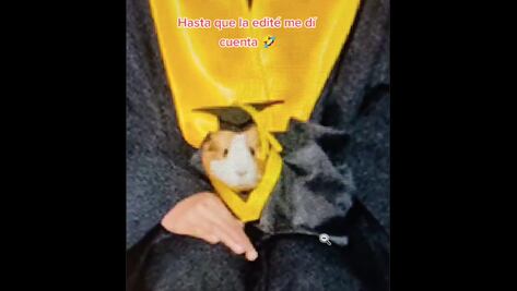 Video. Cuyo se gradúa en Querétaro; ya le dicen licenciado