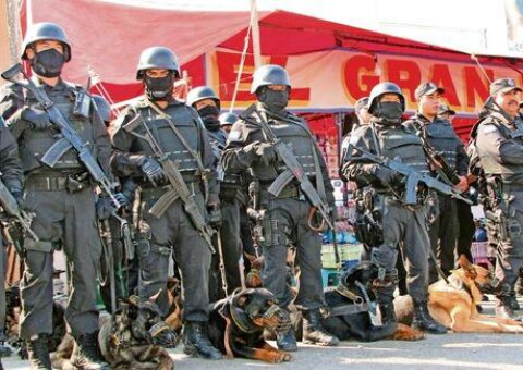 Revista a elementos de seguridad en la feria