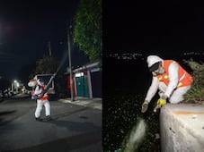 Refuerzan acciones contra mosquitos en el Parque Querétaro 2000 y zonas aledañas