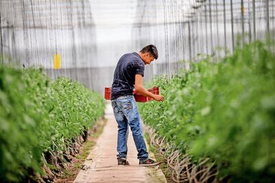 “Tecnificar el campo queretano es una necesidad urgente”