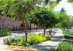 Censan árboles que pueden ser afectados por las obras del tren México-Querétaro