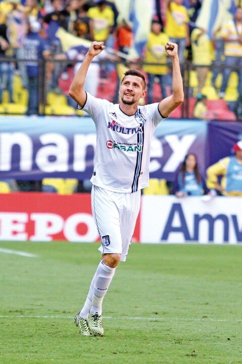 Los emplumados sólo piensan en la Liguilla