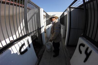 Para enero, código de control animal, prevén