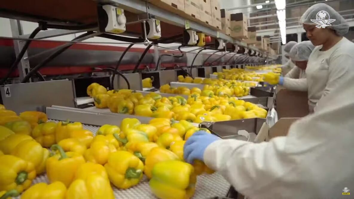 Foto: Captura de pantalla