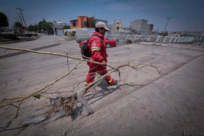 “Laguna” frenará declarar ante el SAT