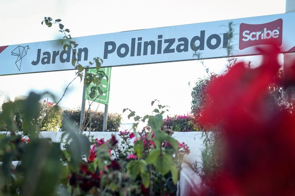 Foto: Facebook Roberto Cabrera Valencia