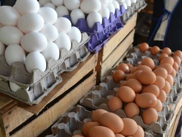 Afirman que se normaliza precio del huevo en Querétaro