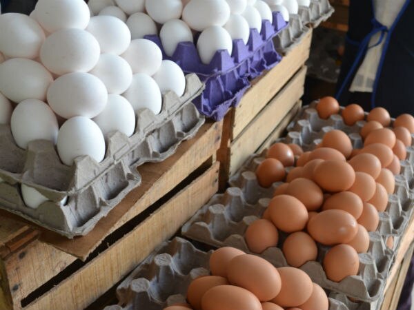 Huevo, pollo y carne, los que más suben, reporta Canacope