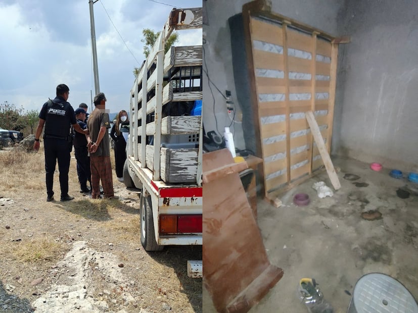 Foto. Facebook Dirección de Cuidado Animal SJR.