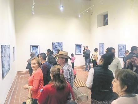 Una muestra colmada de flores y tonos azules