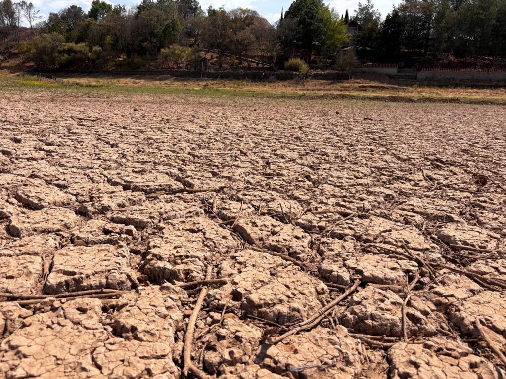 Estiaje provoca la pérdida de 40 mil toneladas de maíz y frijol