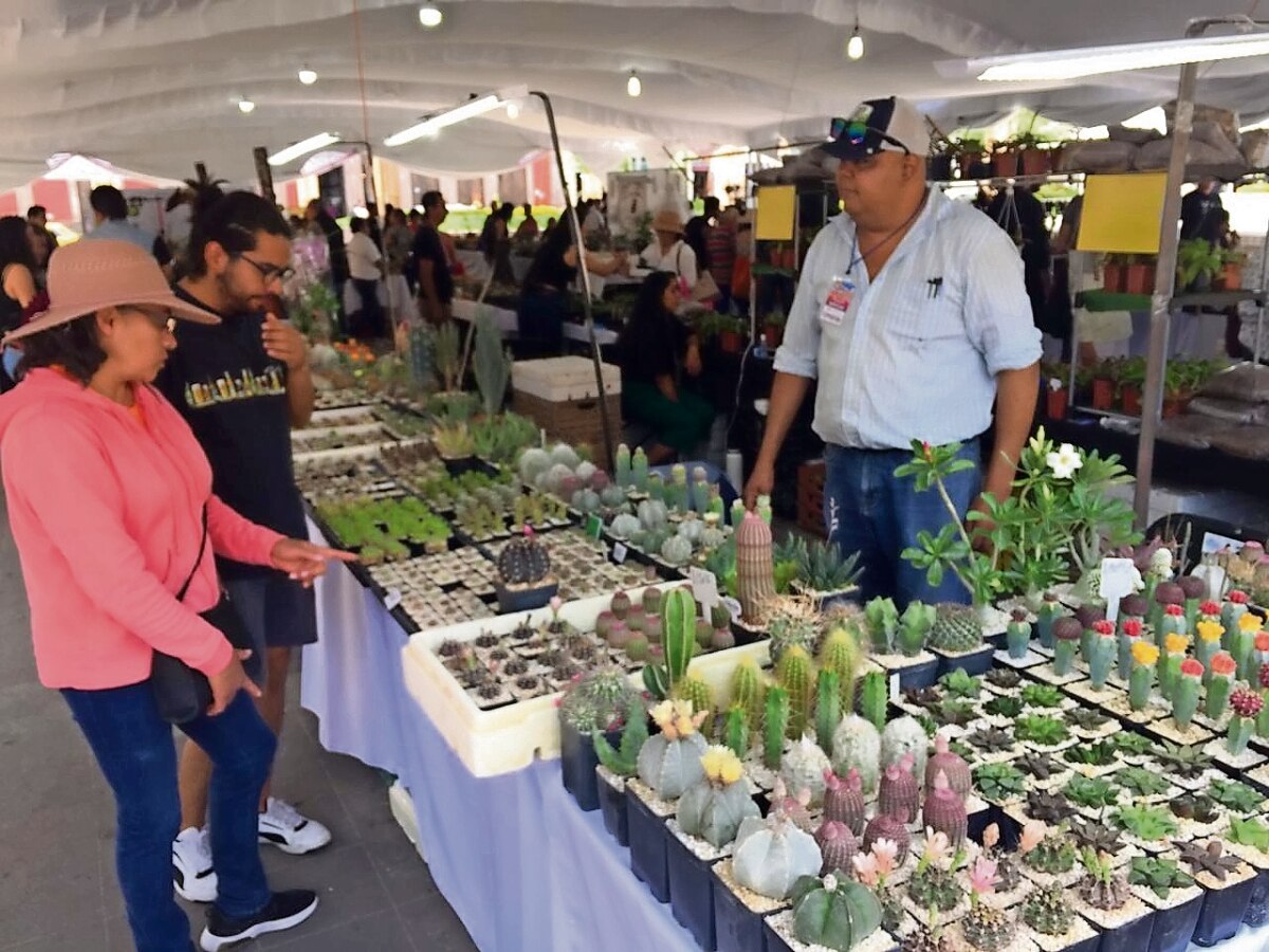 Feria de antigüedades, una vuelta al pasado