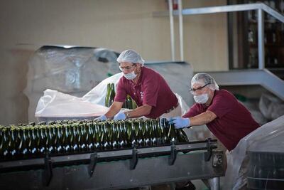 Kuri propone reducir los impuestos a los vinos