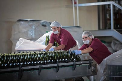 Producción de vinos queretanos cerrará el año con 3 millones 500 mil botellas