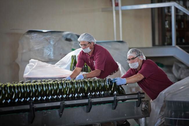 Producción de vinos queretanos cerrará el año con 3 millones 500 mil botellas