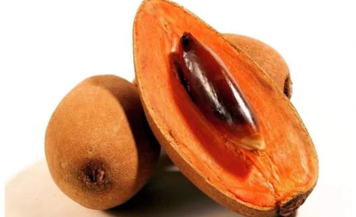 El mamey y sus beneficios para la salud