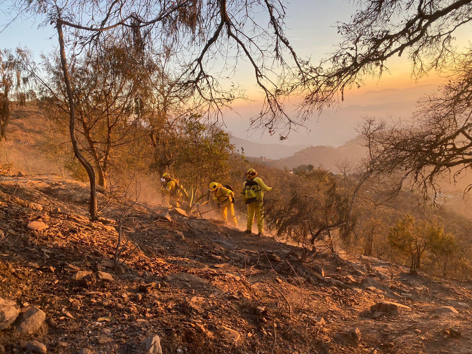 Controlan incendio en Cadereyta; reportan 14 hectáreas afectadas