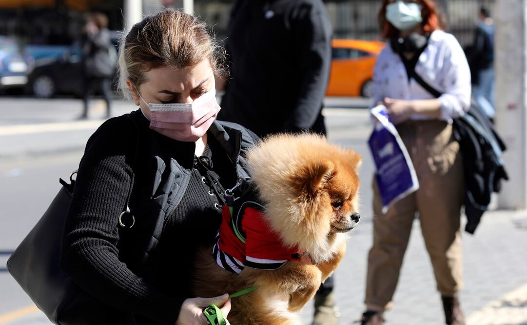 Rusia produce primer lote de vacunas contra Covid-19 para animales