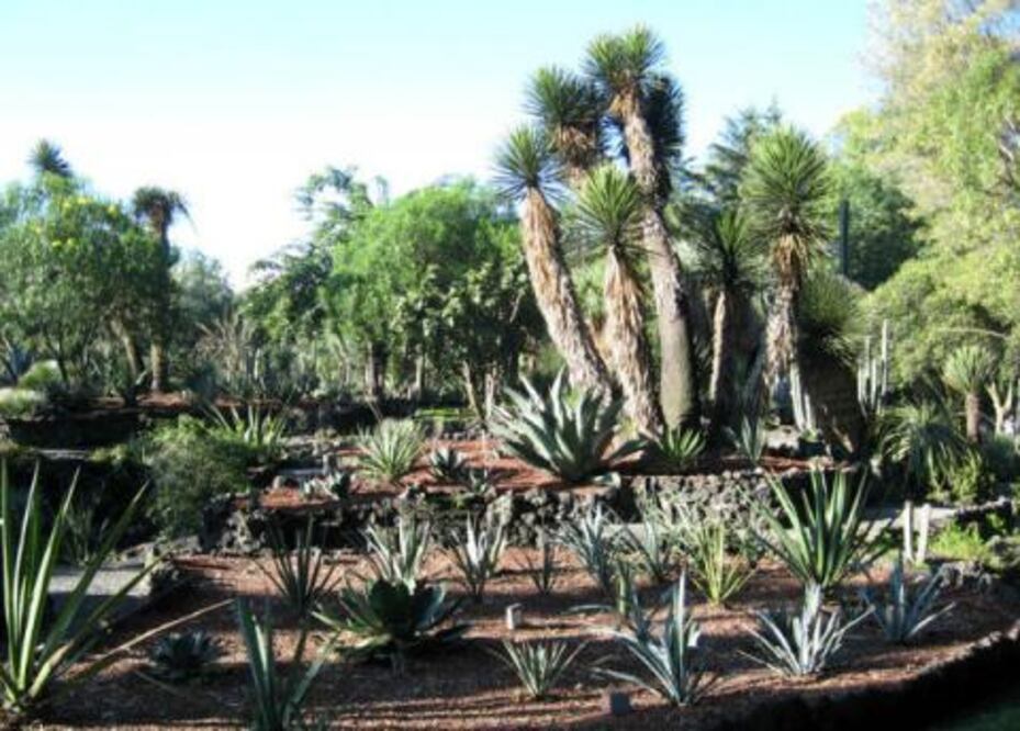 Busca FIQMA más zonas naturales