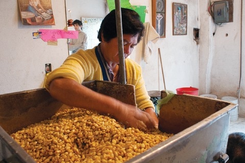 Molino: tradición pulverizada por el tiempo