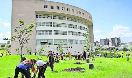 Municipio, por meta de plantar 130 mil árboles