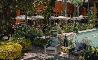 Restaurantes con jardín en Querétaro para consentir a mamá