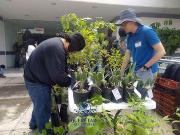 Plantarán más de 800 árboles en campus de la UAQ