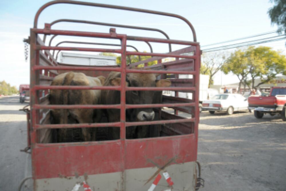 Este delito persiste en Ezequiel Montes