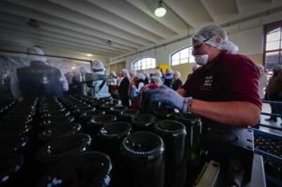 Van por clúster vinícola