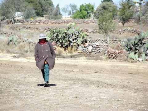 Resuelven 200 asuntos agrarios