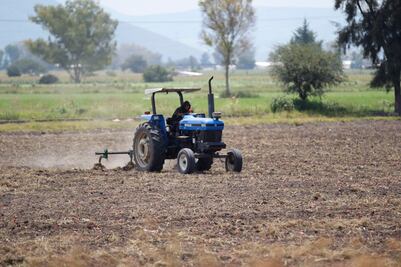 Crece 43.3% producción de chile en el estado   