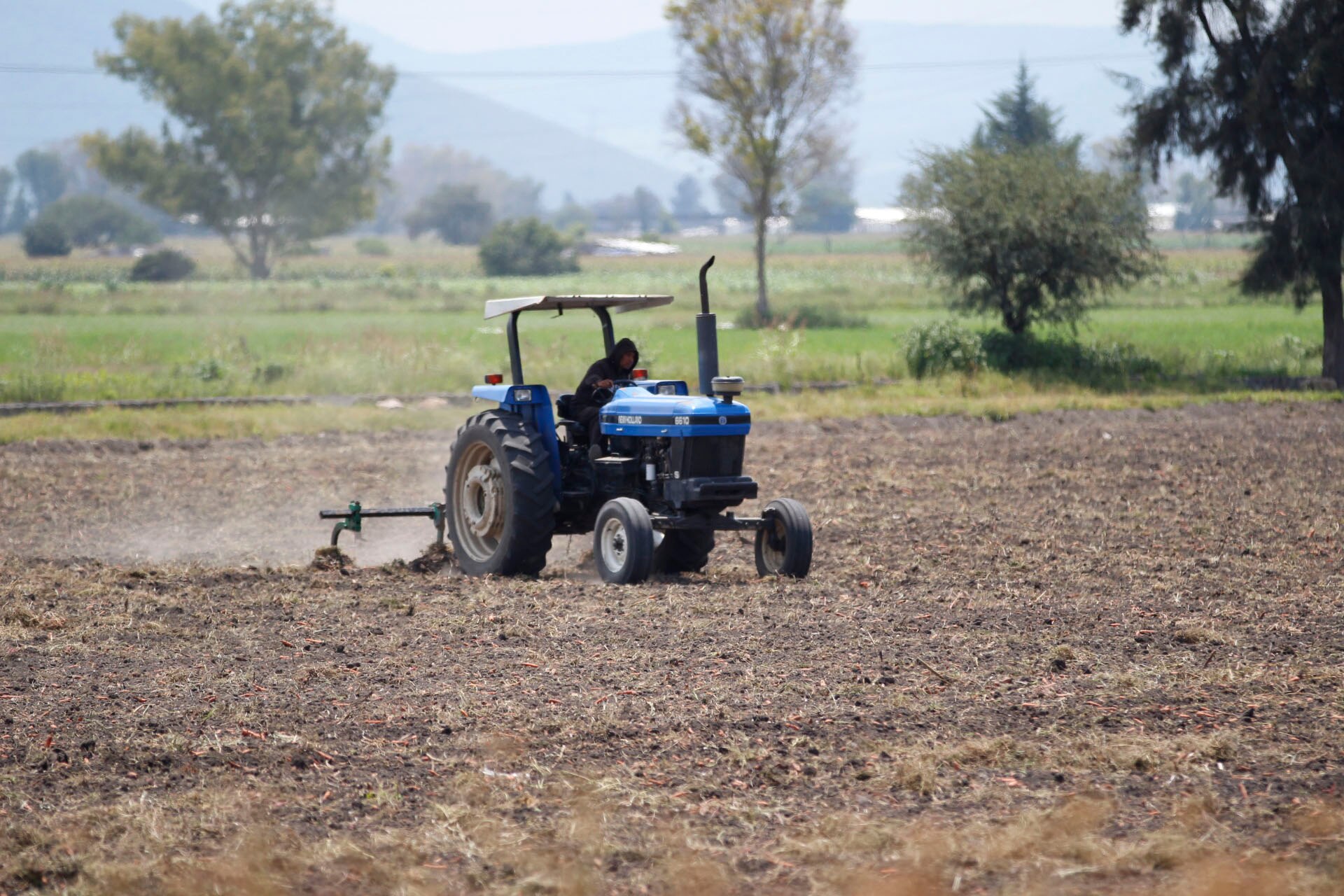Crece 43.3% producción de chile en el estado