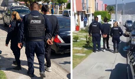Protección Animal de Querétaro atiende caso de maltrato de mascotas