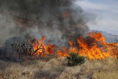 UMPCQ no envía brigadistas; mandaría personal técnico